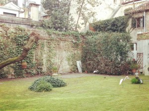 garden in venice